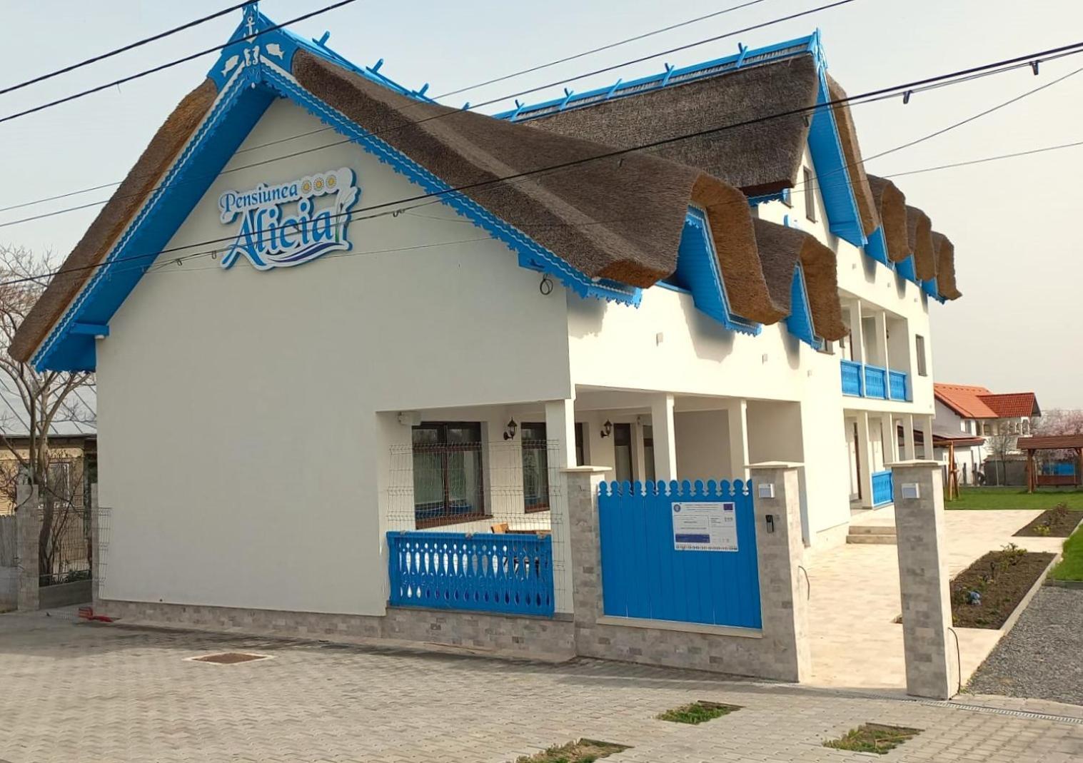 Pensiunea Alicia Jurilovca Exterior foto